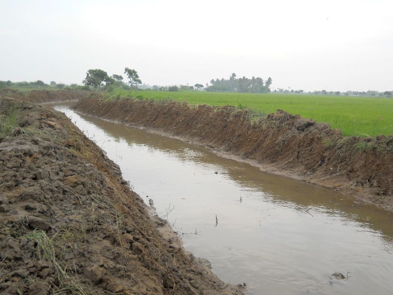 irrigation ditches with water